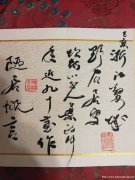 叶政中手抄本-----欣赏2