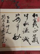 叶政中手抄本-----欣赏2