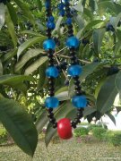 汉代琉璃串欣赏