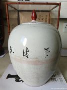 大清乾隆年制制款杜娟花鸟赏瓶