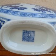 大清乾隆年制六字款.青花花卉双辅首抱月尊