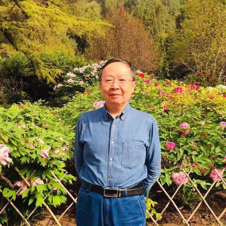 中华民藏网   首席律师   钱卫清