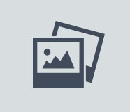 清红木雕瓶花云纹太师椅一对